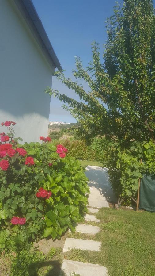 Quinta Do Serrado De Belmonte Бельмонте Экстерьер фото