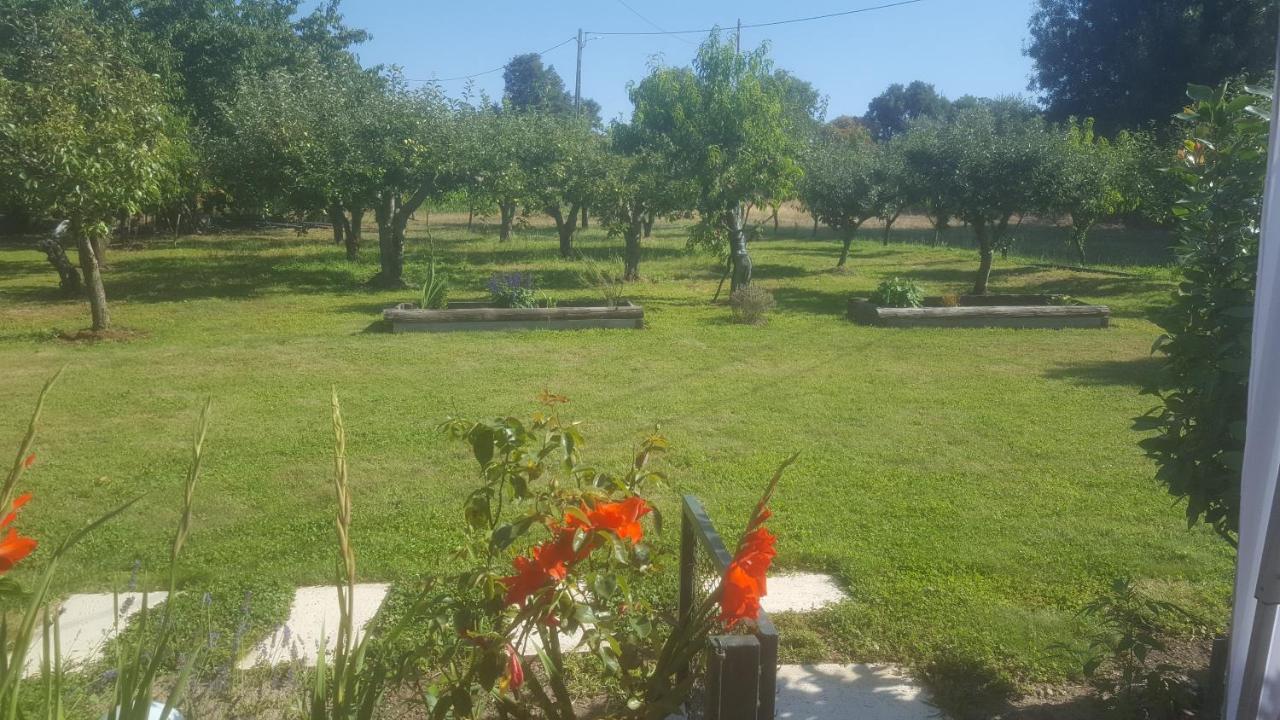 Quinta Do Serrado De Belmonte Бельмонте Экстерьер фото