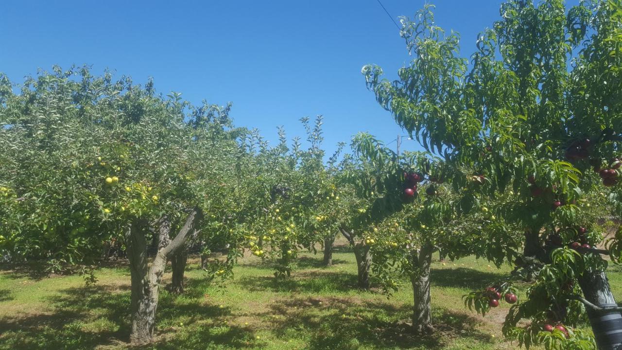 Quinta Do Serrado De Belmonte Бельмонте Экстерьер фото