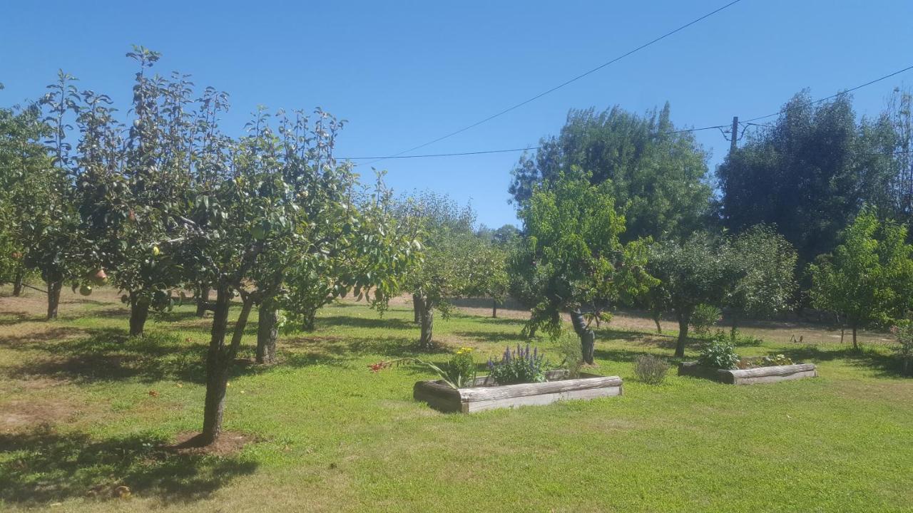 Quinta Do Serrado De Belmonte Бельмонте Экстерьер фото