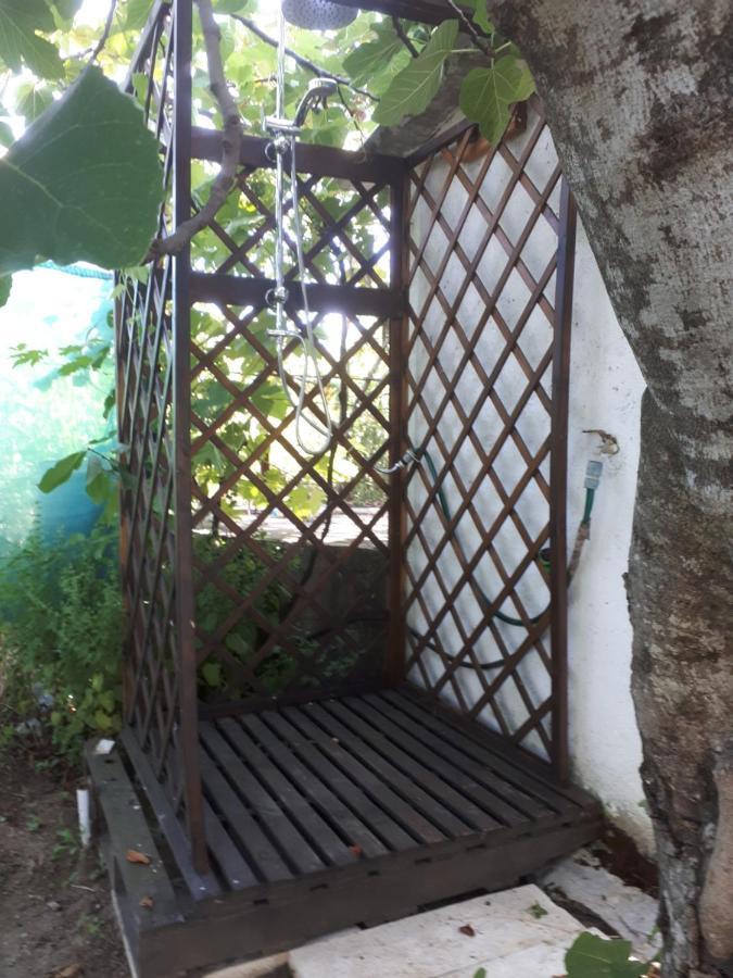 Quinta Do Serrado De Belmonte Бельмонте Экстерьер фото